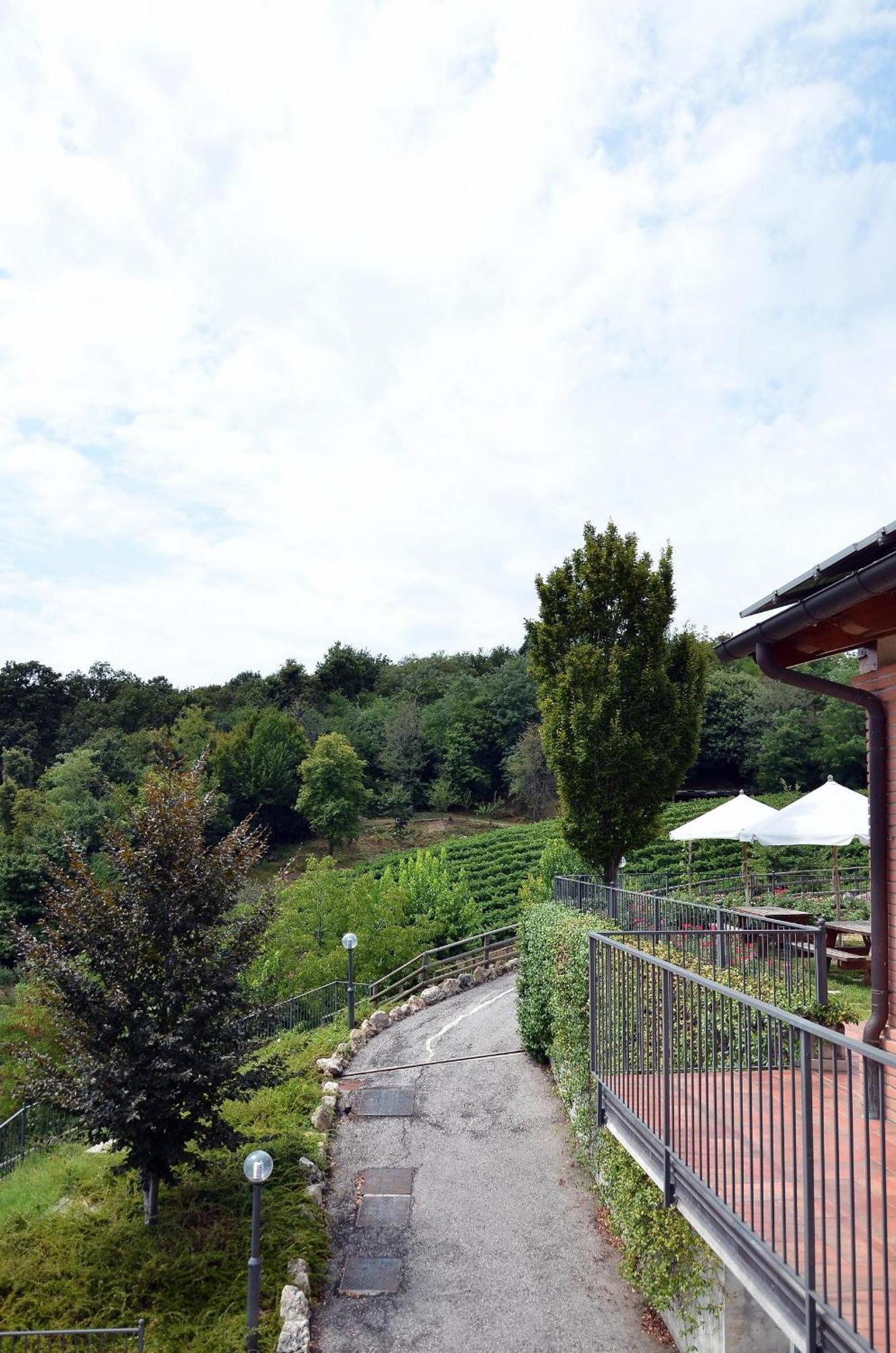 Hotel Crichelon Altavilla Vicentina Esterno foto